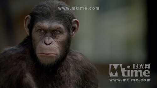 猩球崛起Rise of the planet of the apes(2011)劇照 #09