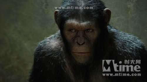 猩球崛起Rise of the planet of the apes(2011)劇照 #02