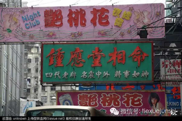 汪明荃演唱會力挺香港普選:祖輩創下的江山,你們要珍惜(圖15)